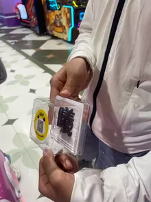 Ender-3V3 Plus - Photo of the actual product