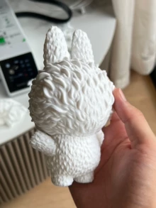  - Photo of the actual product