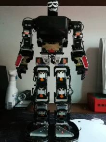 17 servo robot - Photo of the actual product