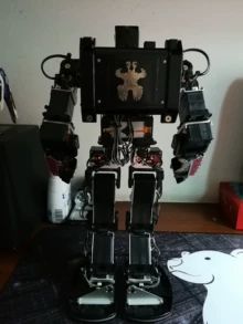KRS-2552R2 HV servos - Photo of the actual product