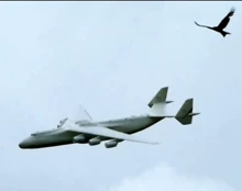 large scale model aircraft - Photo of the actual product
